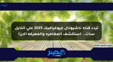 تردد قناة ناشيونال جيوغرافيك 2025 على النايل سات.. استكشف المغامرة والمعرفة الآن!